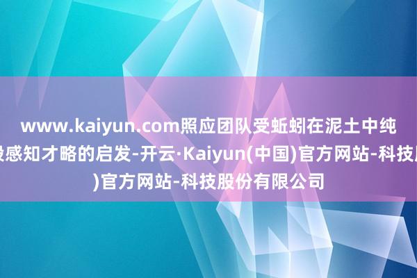 www.kaiyun.com照应团队受蚯蚓在泥土中纯真显露和分段感知才略的启发-开云·Kaiyun(中国)官方网站-科技股份有限公司