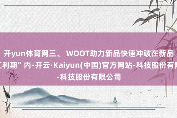 开yun体育网三、 WOOT助力新品快速冲破在新品的“红利期”内-开云·Kaiyun(中国)官方网站-科技股份有限公司