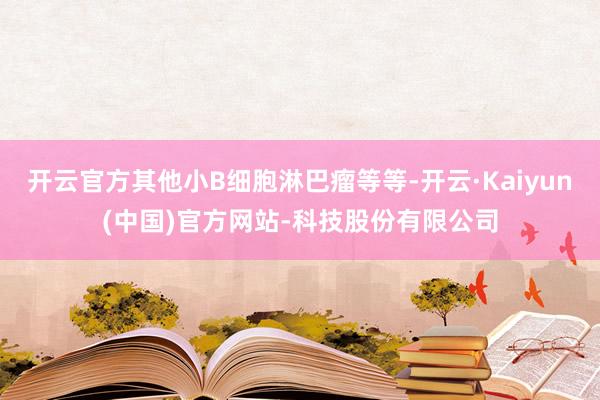 开云官方其他小B细胞淋巴瘤等等-开云·Kaiyun(中国)官方网站-科技股份有限公司