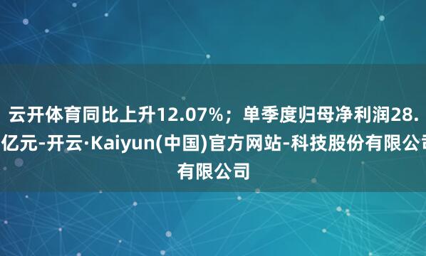 云开体育同比上升12.07%；单季度归母净利润28.1亿元-开云·Kaiyun(中国)官方网站-科技股份有限公司