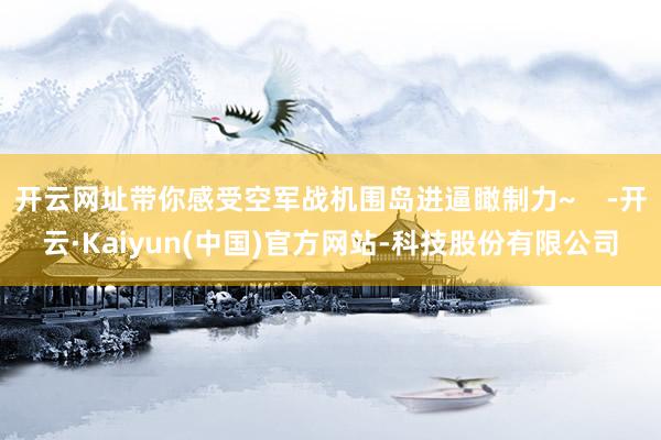 开云网址带你感受空军战机围岛进逼瞰制力~    -开云·Kaiyun(中国)官方网站-科技股份有限公司