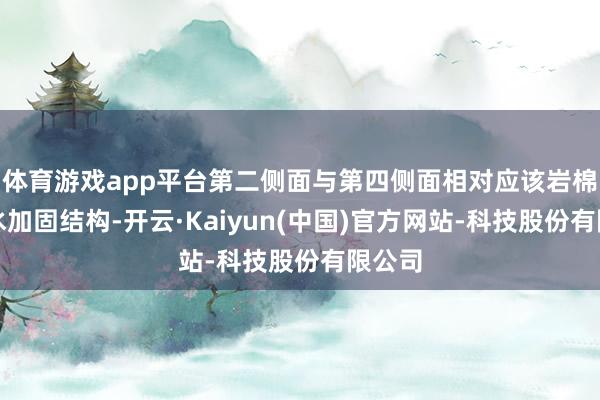 体育游戏app平台第二侧面与第四侧面相对应该岩棉板防水加固结构-开云·Kaiyun(中国)官方网站-科技股份有限公司