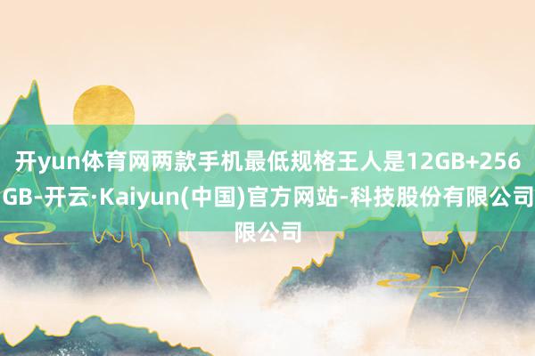 开yun体育网两款手机最低规格王人是12GB+256GB-开云·Kaiyun(中国)官方网站-科技股份有限公司