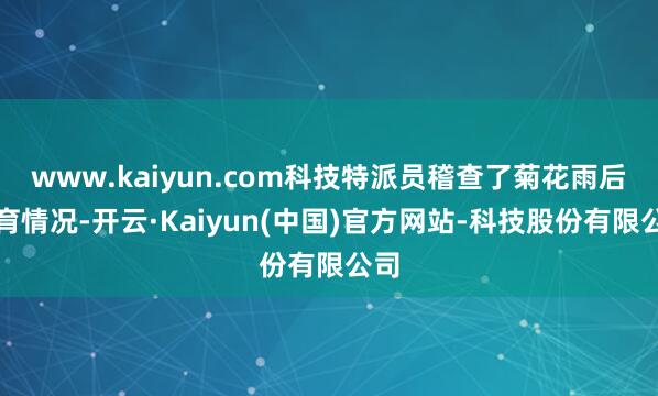 www.kaiyun.com科技特派员稽查了菊花雨后孕育情况-开云·Kaiyun(中国)官方网站-科技股份有限公司