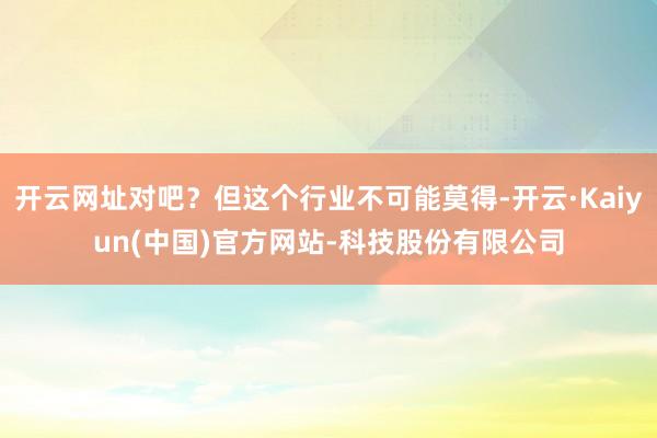 开云网址对吧？但这个行业不可能莫得-开云·Kaiyun(中国)官方网站-科技股份有限公司