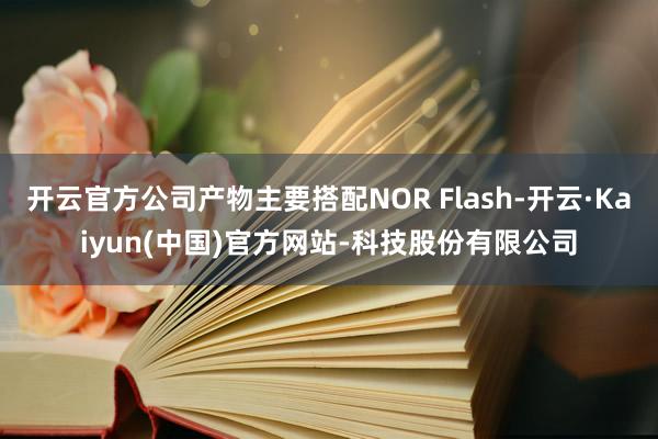 开云官方公司产物主要搭配NOR Flash-开云·Kaiyun(中国)官方网站-科技股份有限公司