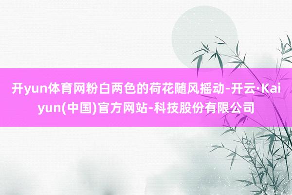 开yun体育网粉白两色的荷花随风摇动-开云·Kaiyun(中国)官方网站-科技股份有限公司