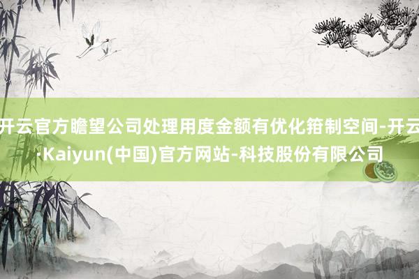 开云官方瞻望公司处理用度金额有优化箝制空间-开云·Kaiyun(中国)官方网站-科技股份有限公司