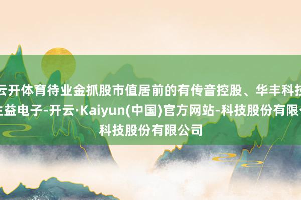 云开体育待业金抓股市值居前的有传音控股、华丰科技、生益电子-开云·Kaiyun(中国)官方网站-科技股份有限公司
