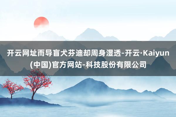 开云网址而导盲犬芬迪却周身湿透-开云·Kaiyun(中国)官方网站-科技股份有限公司