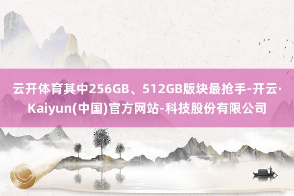 云开体育其中256GB、512GB版块最抢手-开云·Kaiyun(中国)官方网站-科技股份有限公司